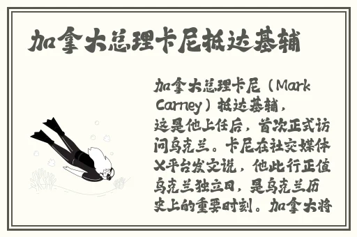 国产精品白浆无码流出动图